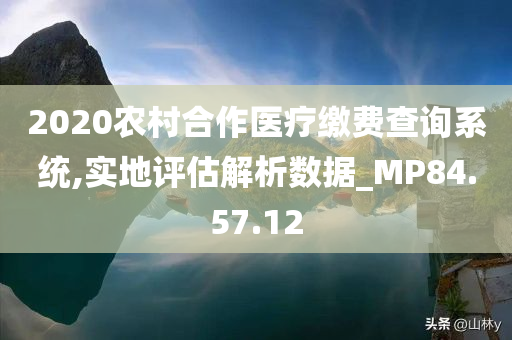 2020农村合作医疗缴费查询系统,实地评估解析数据_MP84.57.12