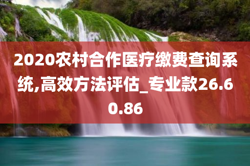 2020农村合作医疗缴费查询系统,高效方法评估_专业款26.60.86