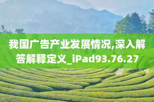 我国广告产业发展情况,深入解答解释定义_iPad93.76.27