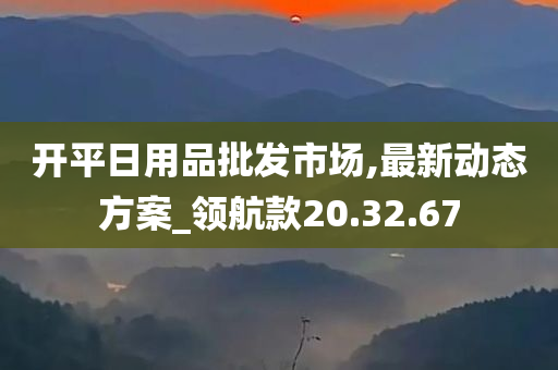 开平日用品批发市场,最新动态方案_领航款20.32.67