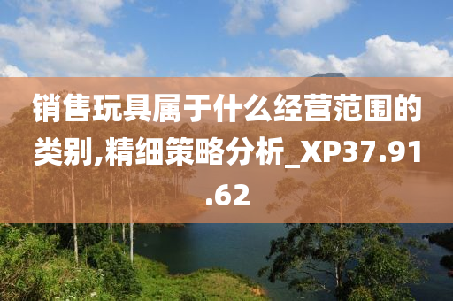 销售玩具属于什么经营范围的类别,精细策略分析_XP37.91.62