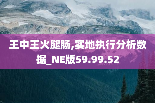 王中王火腿肠,实地执行分析数据_NE版59.99.52