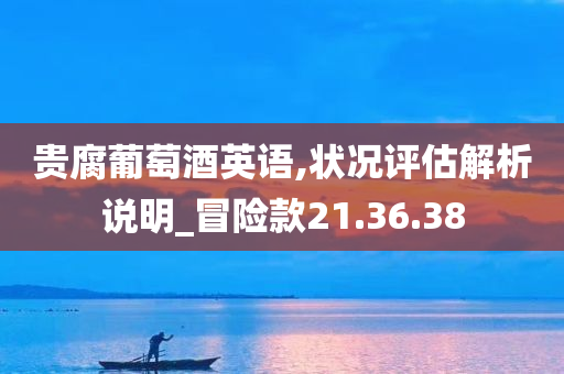 贵腐葡萄酒英语,状况评估解析说明_冒险款21.36.38