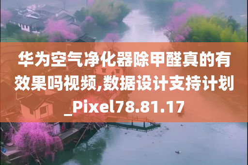 华为空气净化器除甲醛真的有效果吗视频,数据设计支持计划_Pixel78.81.17