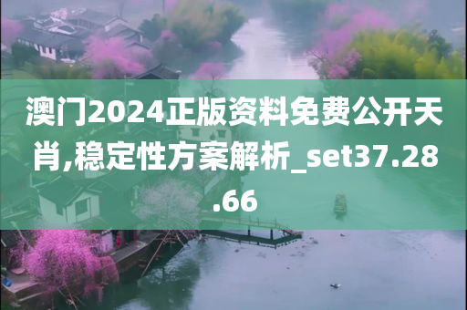 澳门2024正版资料免费公开天肖,稳定性方案解析_set37.28.66