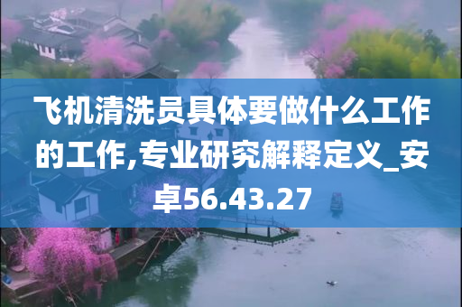 飞机清洗员具体要做什么工作的工作,专业研究解释定义_安卓56.43.27