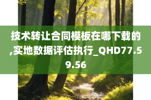 技术转让合同模板在哪下载的,实地数据评估执行_QHD77.59.56