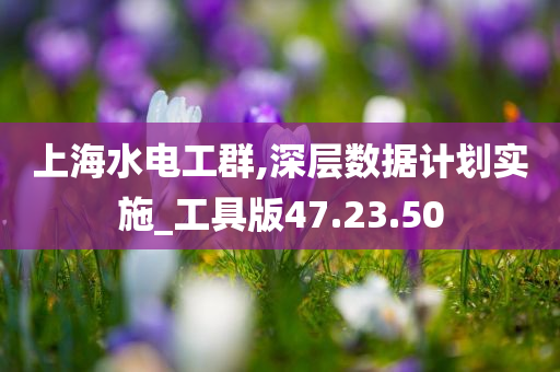 上海水电工群,深层数据计划实施_工具版47.23.50