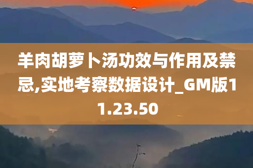 羊肉胡萝卜汤功效与作用及禁忌,实地考察数据设计_GM版11.23.50