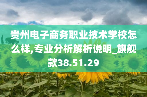 贵州电子商务职业技术学校怎么样,专业分析解析说明_旗舰款38.51.29