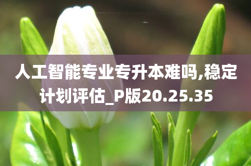 人工智能专业专升本难吗,稳定计划评估_P版20.25.35