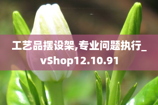 工艺品摆设架,专业问题执行_vShop12.10.91