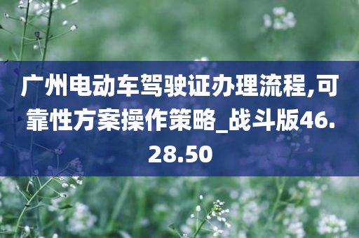 广州电动车驾驶证办理流程,可靠性方案操作策略_战斗版46.28.50