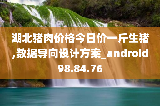 湖北猪肉价格今日价一斤生猪,数据导向设计方案_android98.84.76