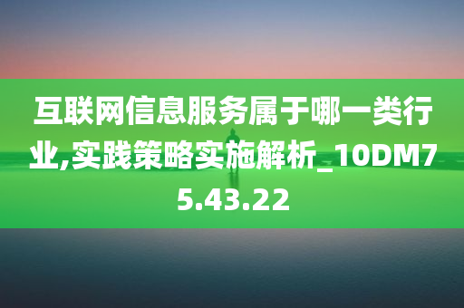 互联网信息服务属于哪一类行业,实践策略实施解析_10DM75.43.22