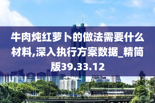 牛肉炖红萝卜的做法需要什么材料,深入执行方案数据_精简版39.33.12