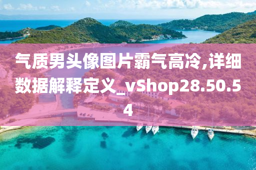 气质男头像图片霸气高冷,详细数据解释定义_vShop28.50.54