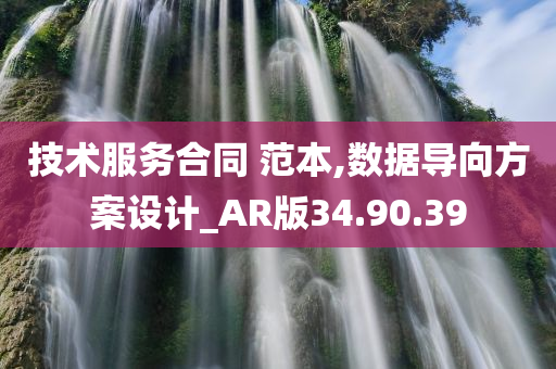 技术服务合同 范本,数据导向方案设计_AR版34.90.39