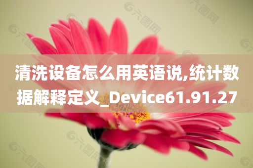 清洗设备怎么用英语说,统计数据解释定义_Device61.91.27