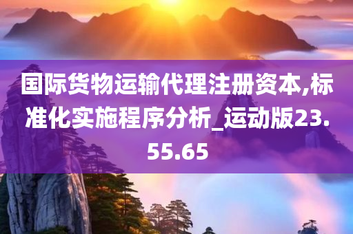 国际货物运输代理注册资本,标准化实施程序分析_运动版23.55.65