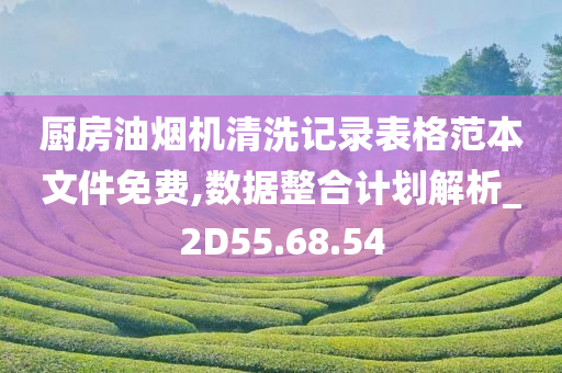 数据整合 第12页