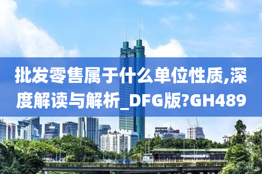 批发零售属于什么单位性质,深度解读与解析_DFG版?GH489