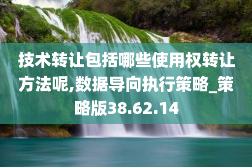 技术转让包括哪些使用权转让方法呢,数据导向执行策略_策略版38.62.14