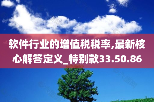 软件行业的增值税税率,最新核心解答定义_特别款33.50.86