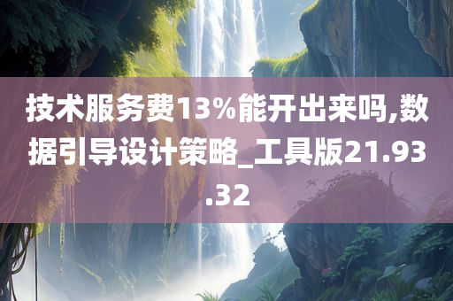 技术服务费13%能开出来吗,数据引导设计策略_工具版21.93.32