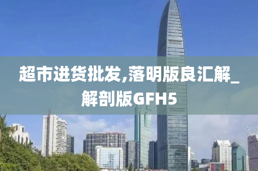 超市进货批发,落明版良汇解_解剖版GFH5