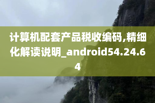 计算机配套产品税收编码,精细化解读说明_android54.24.64