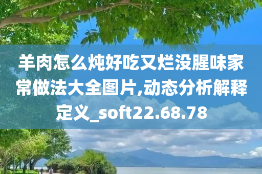 羊肉怎么炖好吃又烂没腥味家常做法大全图片,动态分析解释定义_soft22.68.78