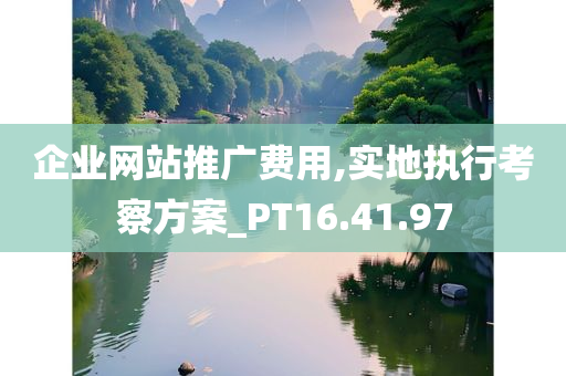 企业网站推广费用,实地执行考察方案_PT16.41.97