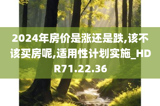 2024年房价是涨还是跌,该不该买房呢,适用性计划实施_HDR71.22.36