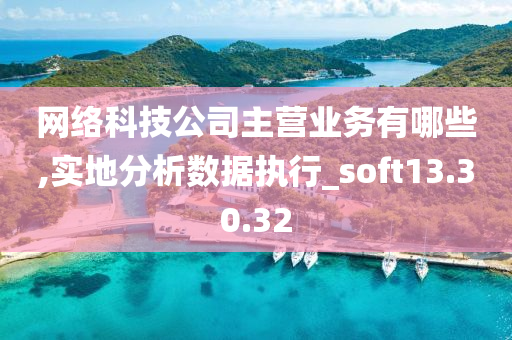 网络科技公司主营业务有哪些,实地分析数据执行_soft13.30.32