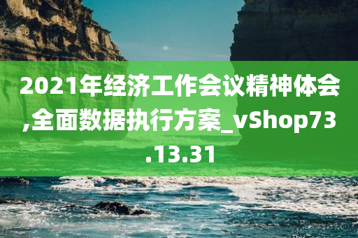 2021年经济工作会议精神体会,全面数据执行方案_vShop73.13.31